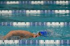 Women's Swimming & Diving  Wheaton College Women’s Swimming & Diving vs Mount Holyoke College. - Photo by Keith Nordstrom : Wheaton, Swimming & Diving